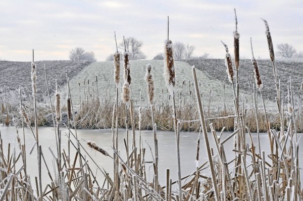 Волинь в льодяному тумані. ФОТО
