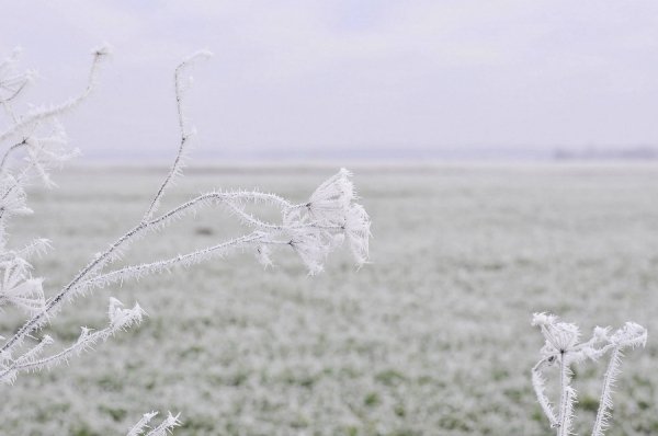 Волинь в льодяному тумані. ФОТО