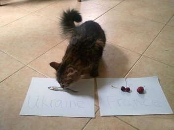 Перемога України:  що писали волиняни в соцмережах