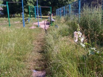 У Луцьку майдачник для воркауту обріс травою, люди просять негайно покосити 