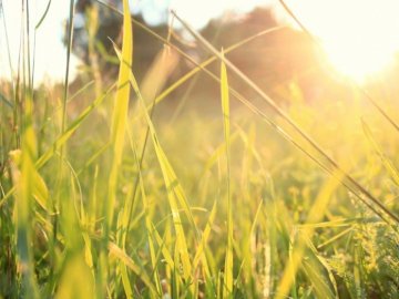 Буде багато сонця: синоптик озвучила прогноз погоди на найближчі дні