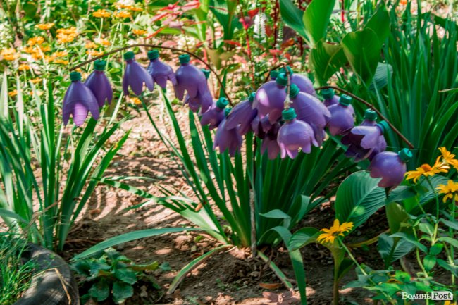 Там, де розвертаються тролейбуси: як живе 40-ий мікрорайон Луцька