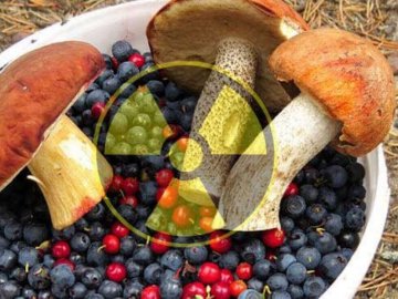 Розповіли, як аварія на ЧАЕС досі впливає на здоров'я волинян 