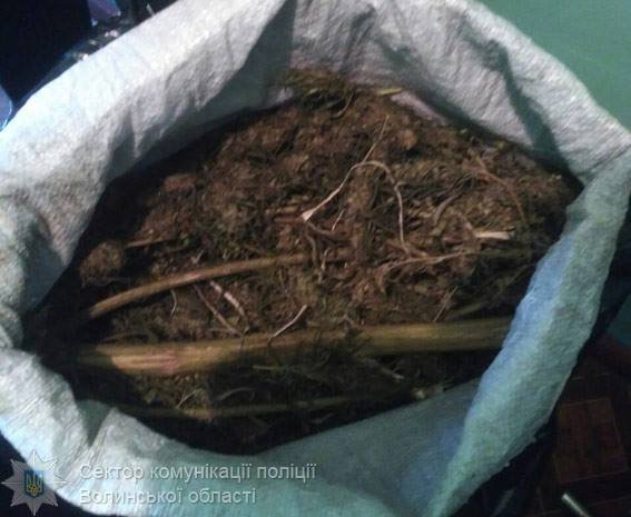 У волинянина вилучили 20 кіло марихуани. ФОТО
