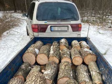 На Волині піймали порушників, які рубали дерева і розставляли пастки на тварин