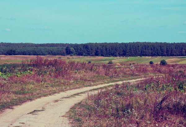 Фотовиставка Ольги Антонюк