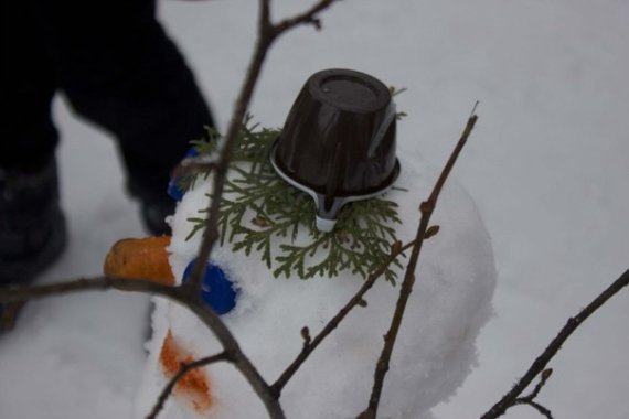 У Вінниці зліпили майже 300 сніговиків. ФОТО