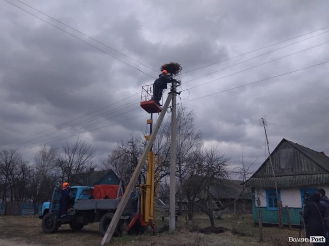 Волинські енергетики облаштовують гнізда для лелек. ФОТО