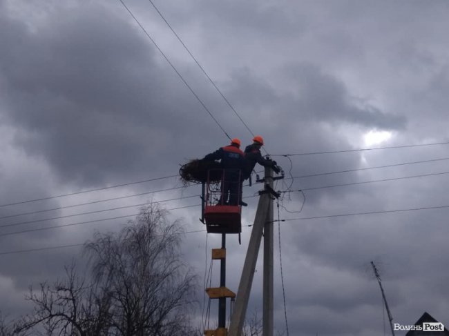 Волинські енергетики облаштовують гнізда для лелек. ФОТО