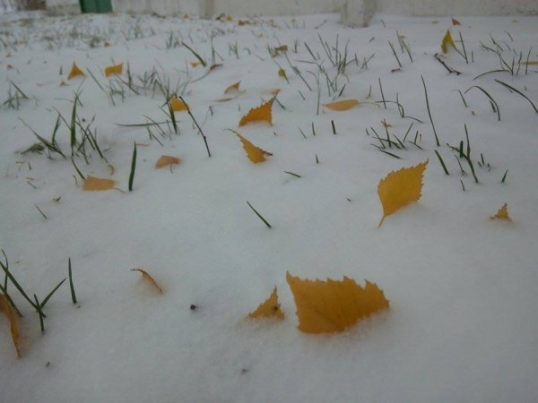 Автор фото Антон Бугайчук