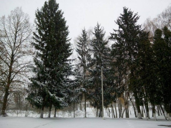 Автор фото Антон Бугайчук