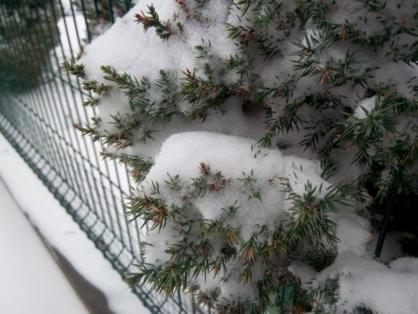 Автор фото Антон Бугайчук