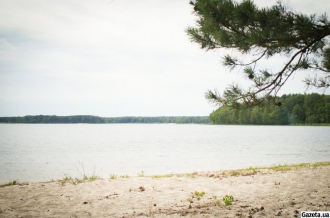 «Буйні мєсні, Кім Чин Ін і верба з дупи»: як столичні журналісти відпочивали на Шацьких озерах.ФОТО