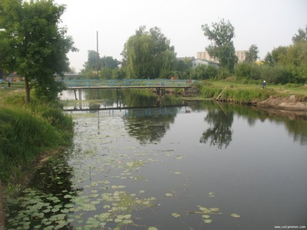 У Ковелі масово дохне риба. ФОТО