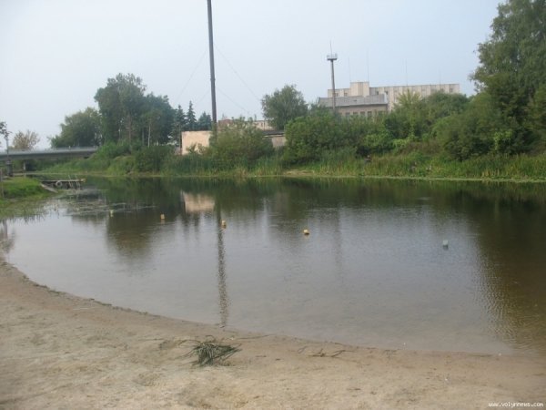 У Ковелі масово дохне риба. ФОТО