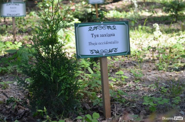 Еко-туризм «за крок» від Луцька: всі стежки ведуть до Воротнева