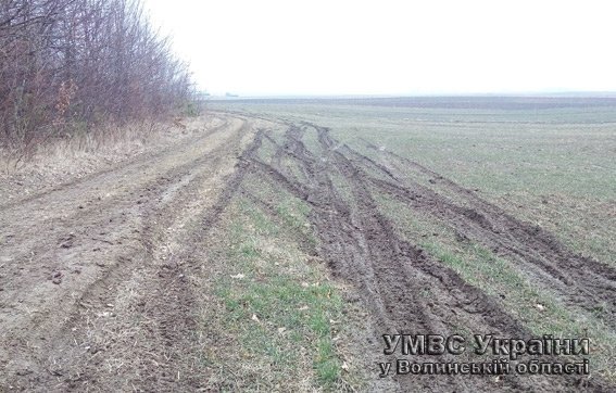 Учасників «волинського сафарі» можуть посадити на чотири роки. ФОТО