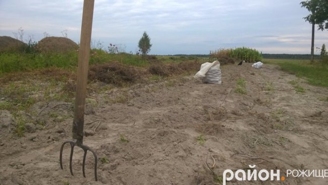 Рання осінь у волинському селі. ФОТО