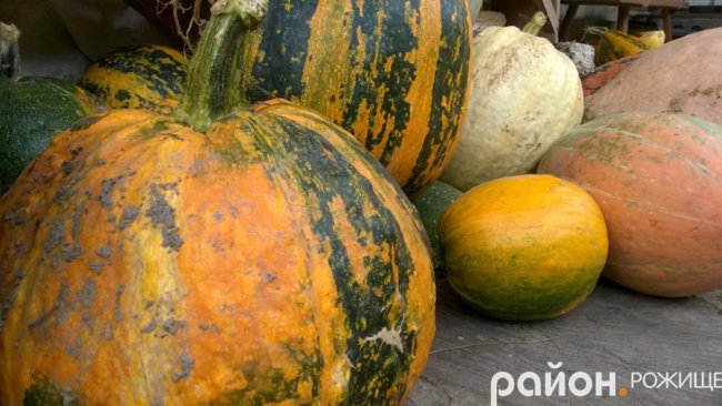 Рання осінь у волинському селі. ФОТО