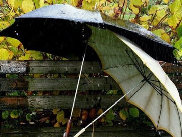 Погода в Луцьку та Волинській області на п’ятницю, 8 вересня