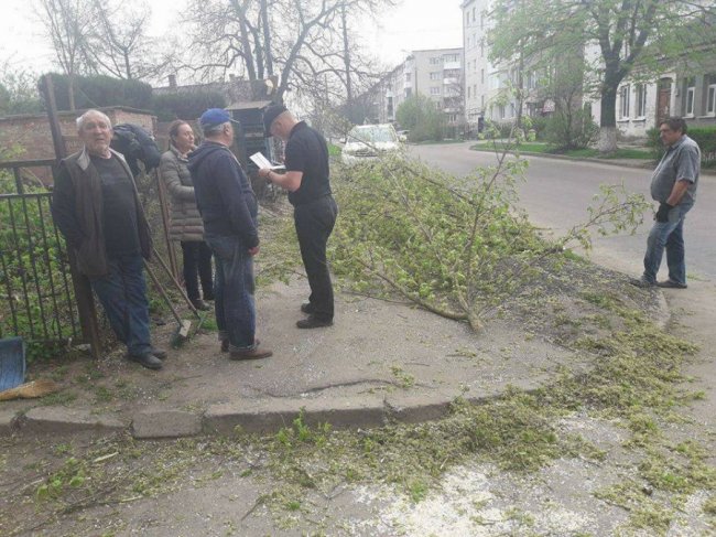 У Луцьку муніципали «спіймали» людей, які незаконно обрізали дерева 