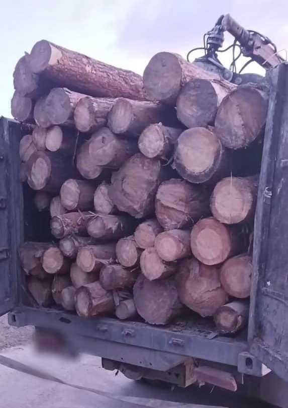 На Волині зупинили «КАМАЗ» з незаконною деревиною