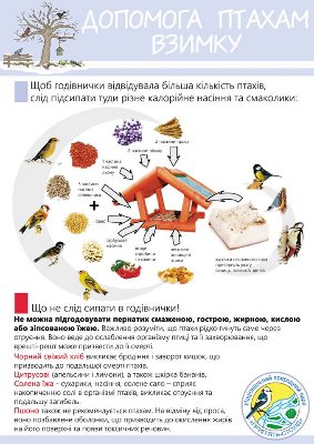 Волинські екологи пояснили, як правильно годувати птахів