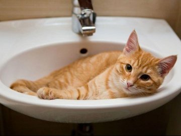 У Рівному через борги відключили гарячу воду