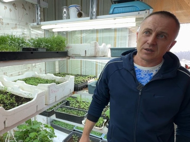 300 тисяч насінин за сезон: подружжя з Волині поділилися секретами вирощування розсади