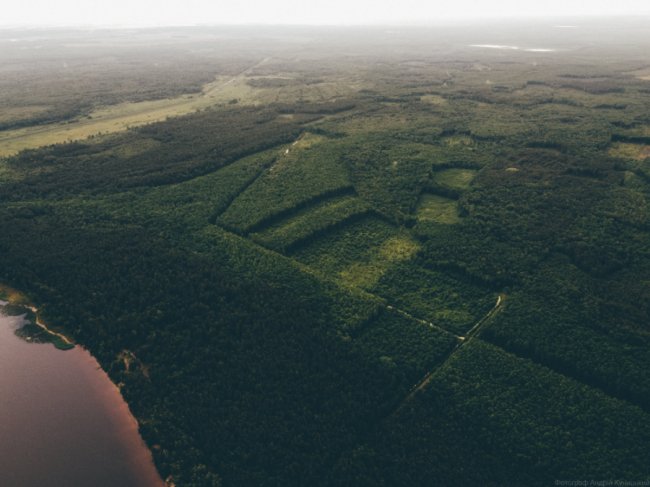 Захопливі світлини волинського озера з висоти. ФОТО