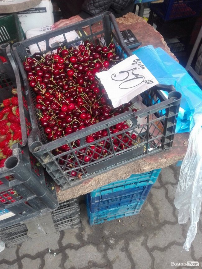 Від і до: скільки коштує перша черешня на луцькому ринку. ФОТО