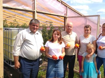 Бізнес на овочах: як сім’я з Волині успішно вирощує у теплицях огірки і помідори