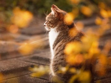 Погода в Луцьку та Волинській області на четвер, 16 вересня