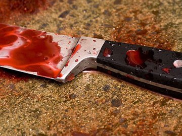 Подвійне вбивство на Волині: нелюд мив руки від крові у калюжі