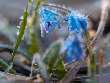 Мороз та дощ: на вихідних в Україні очікується похолодання