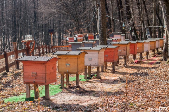 Учні першого на Волині міського шкільного лісництва побували у «волинській Швейцарії». ФОТО