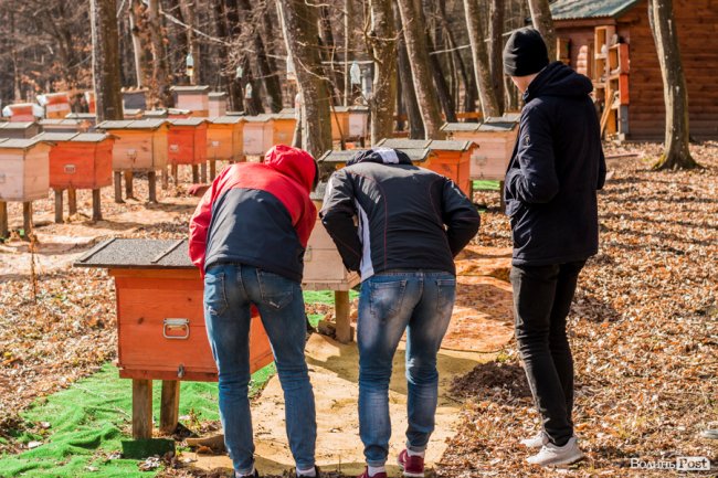 Учні першого на Волині міського шкільного лісництва побували у «волинській Швейцарії». ФОТО