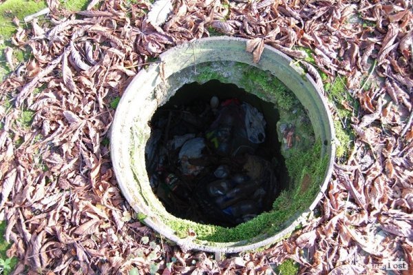 Парк у Луцьку: осіння краса і людська байдужість. ФОТО