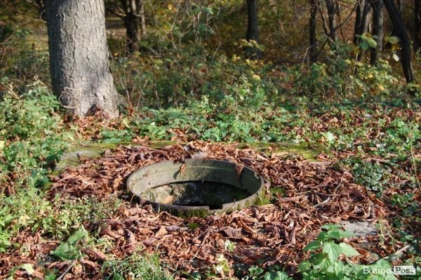 Парк у Луцьку: осіння краса і людська байдужість. ФОТО