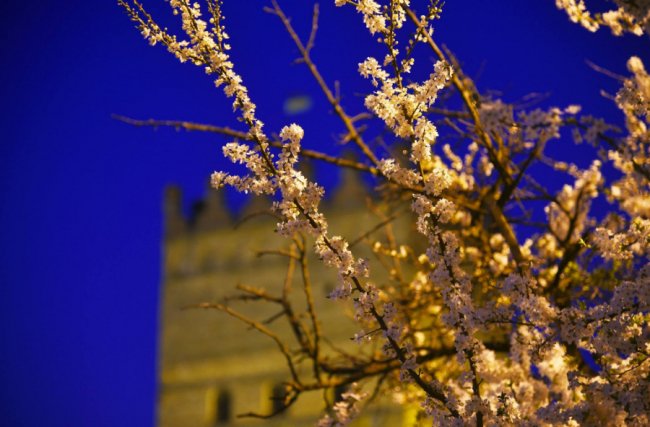 Фотограф опублікував магічні світлини вечірнього Луцька