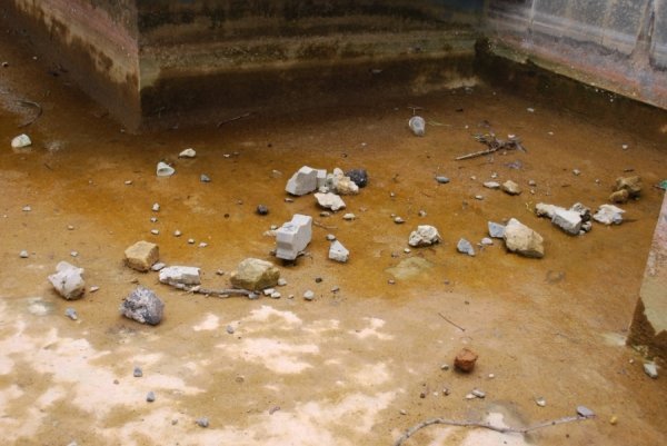 «Трофеї» луцьких фонтанів. ФОТО