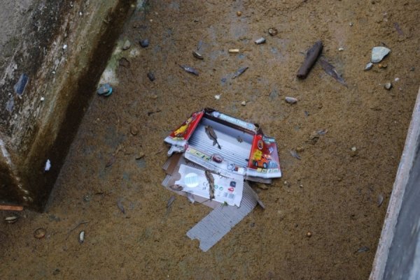 «Трофеї» луцьких фонтанів. ФОТО