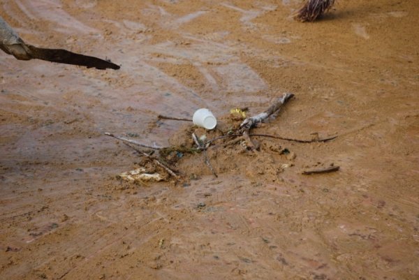 «Трофеї» луцьких фонтанів. ФОТО
