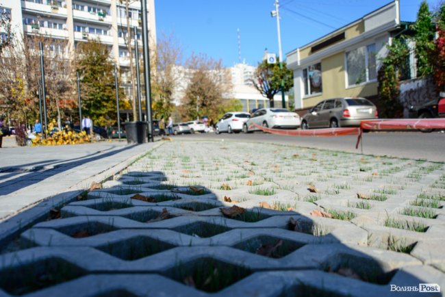 Сучасний оазис посеред міста: у новому сквері в центрі Луцька висадили клени та сливи