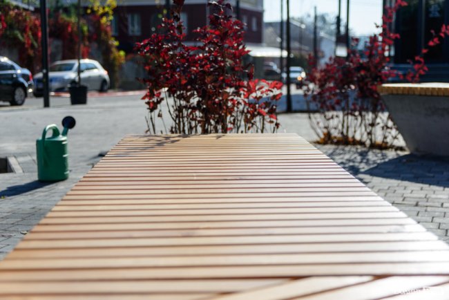 Сучасний оазис посеред міста: у новому сквері в центрі Луцька висадили клени та сливи