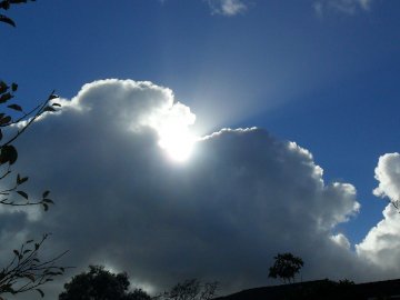 Погода у Луцьку та Волинській області на вівторок, 15 травня