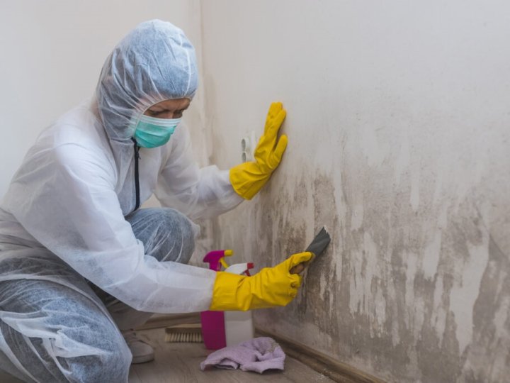 Як вивести грибок під підлогою