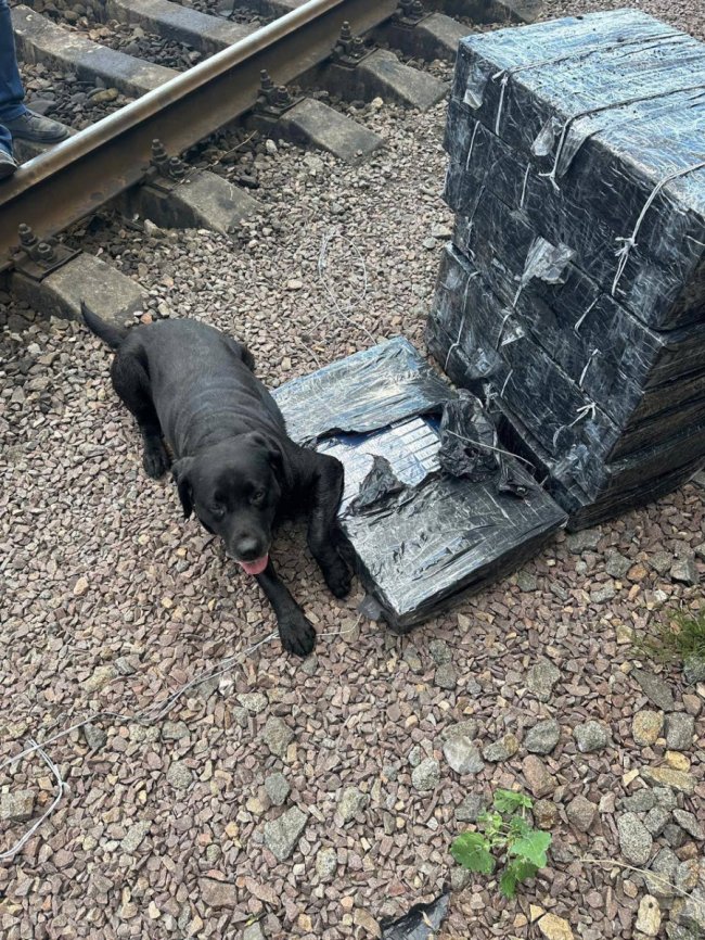 На Волині виявили контрабанду сигарет, сховану у залізній руді