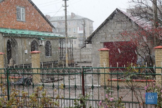 Мокрий і лапатий: на Волині - сніг. ФОТО