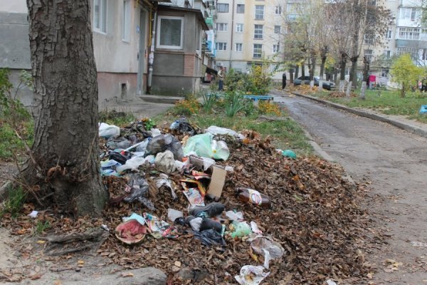 Лучани перетворили свій двір на смітник. ФОТО